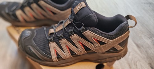 Salomon pro la yaute - xa,